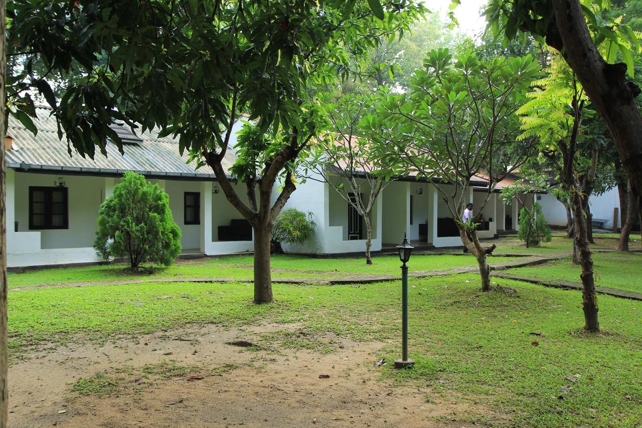 Dambulu Oya Family Park Ξενοδοχείο Dambulla Εξωτερικό φωτογραφία
