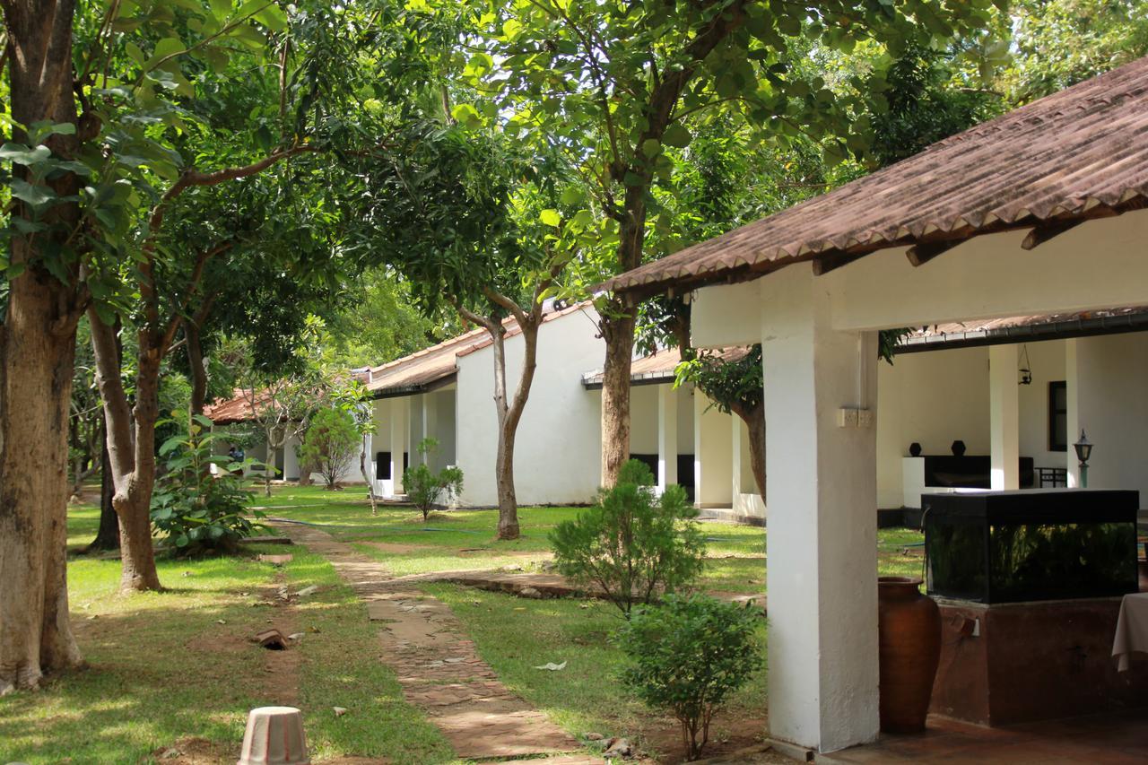 Dambulu Oya Family Park Ξενοδοχείο Dambulla Εξωτερικό φωτογραφία