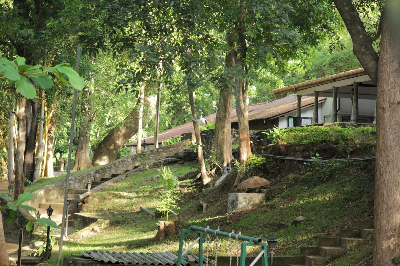 Dambulu Oya Family Park Ξενοδοχείο Dambulla Εξωτερικό φωτογραφία