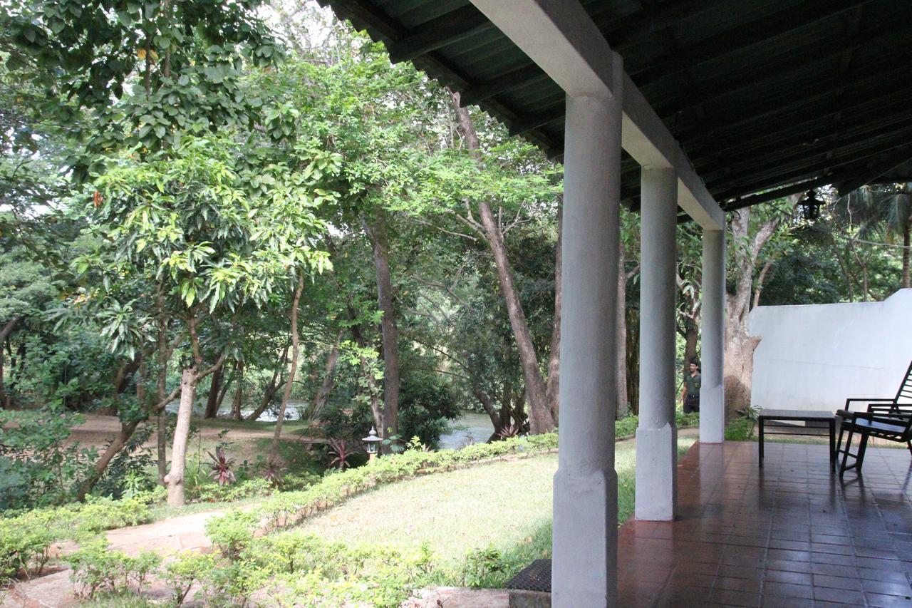 Dambulu Oya Family Park Ξενοδοχείο Dambulla Εξωτερικό φωτογραφία