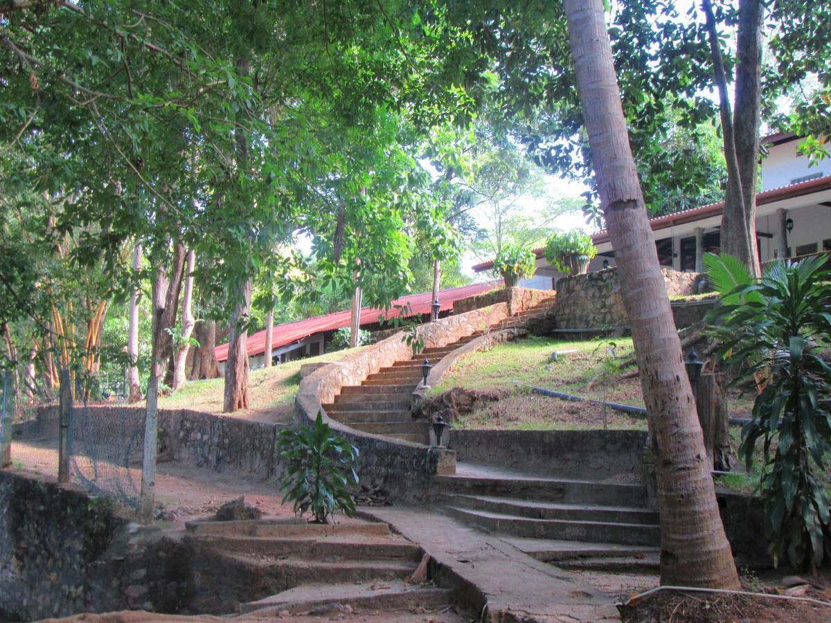 Dambulu Oya Family Park Ξενοδοχείο Dambulla Εξωτερικό φωτογραφία