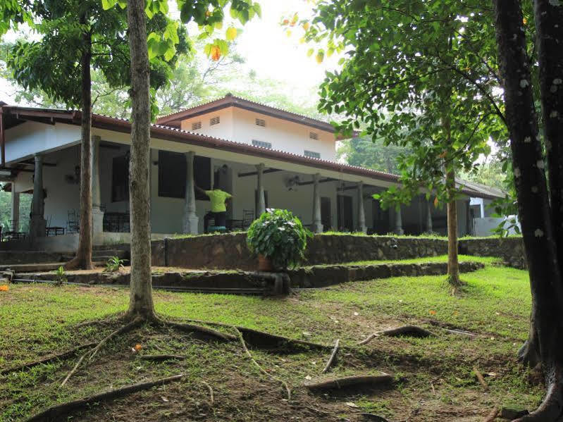 Dambulu Oya Family Park Ξενοδοχείο Dambulla Εξωτερικό φωτογραφία