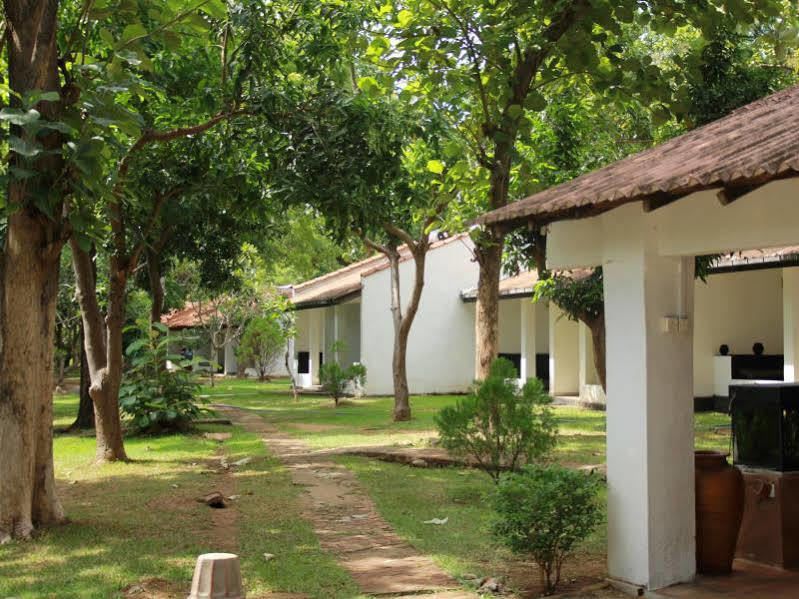 Dambulu Oya Family Park Ξενοδοχείο Dambulla Εξωτερικό φωτογραφία