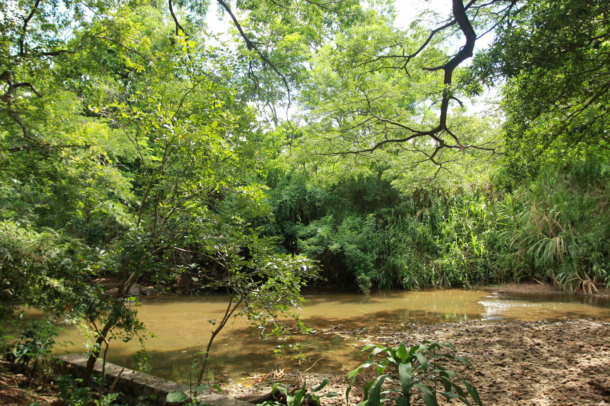 Dambulu Oya Family Park Ξενοδοχείο Dambulla Εξωτερικό φωτογραφία