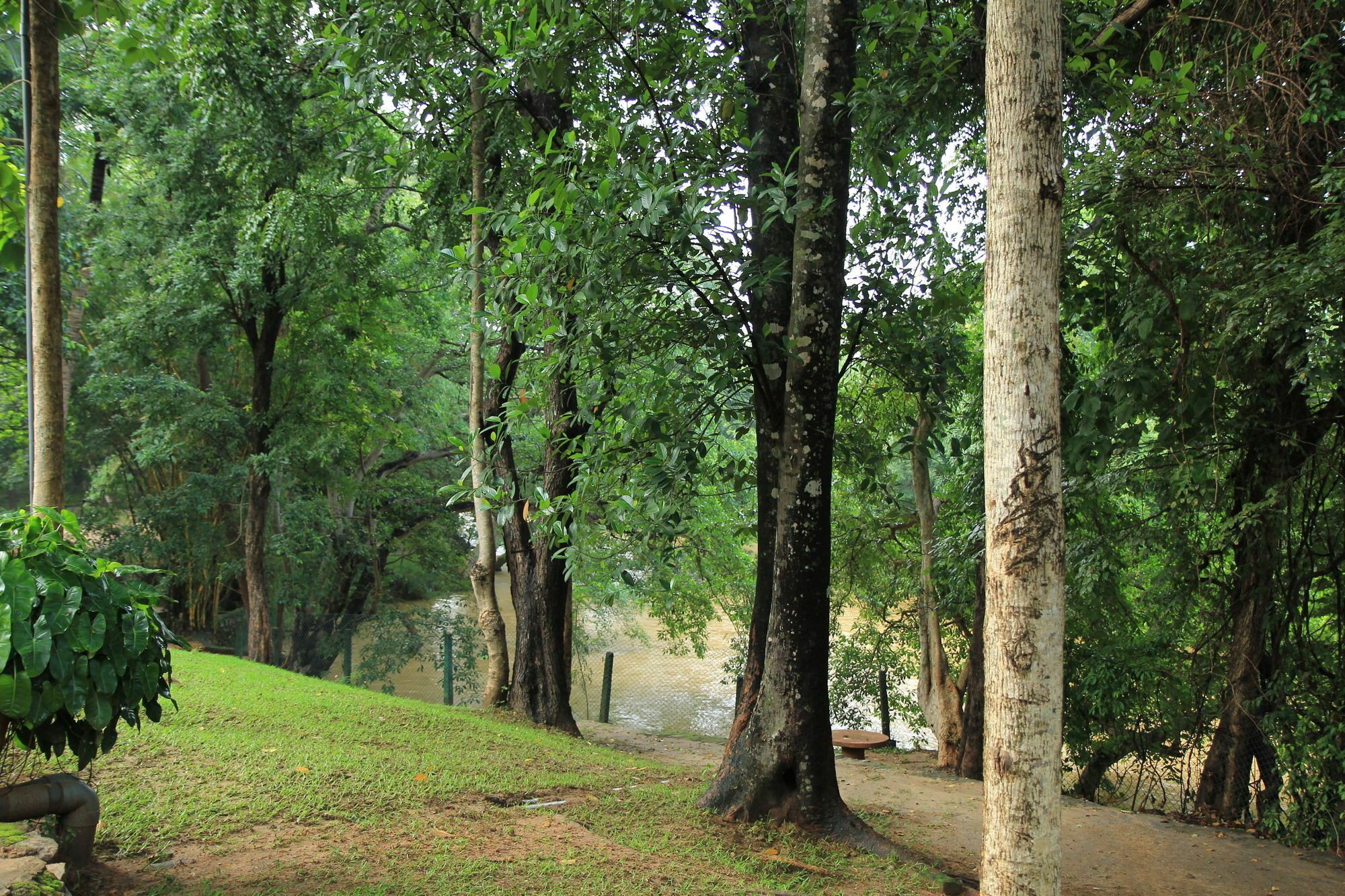 Dambulu Oya Family Park Ξενοδοχείο Dambulla Εξωτερικό φωτογραφία