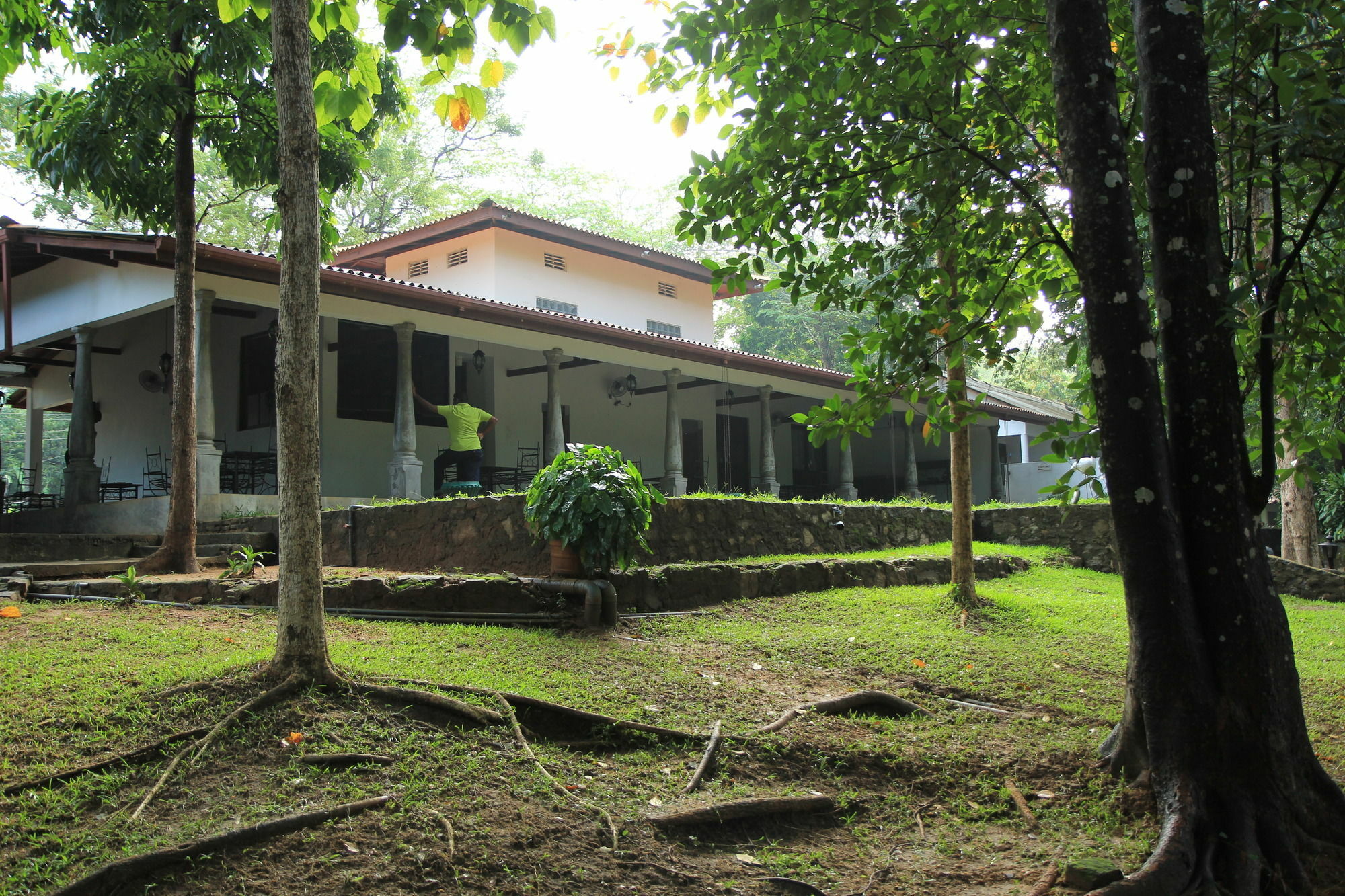 Dambulu Oya Family Park Ξενοδοχείο Dambulla Εξωτερικό φωτογραφία