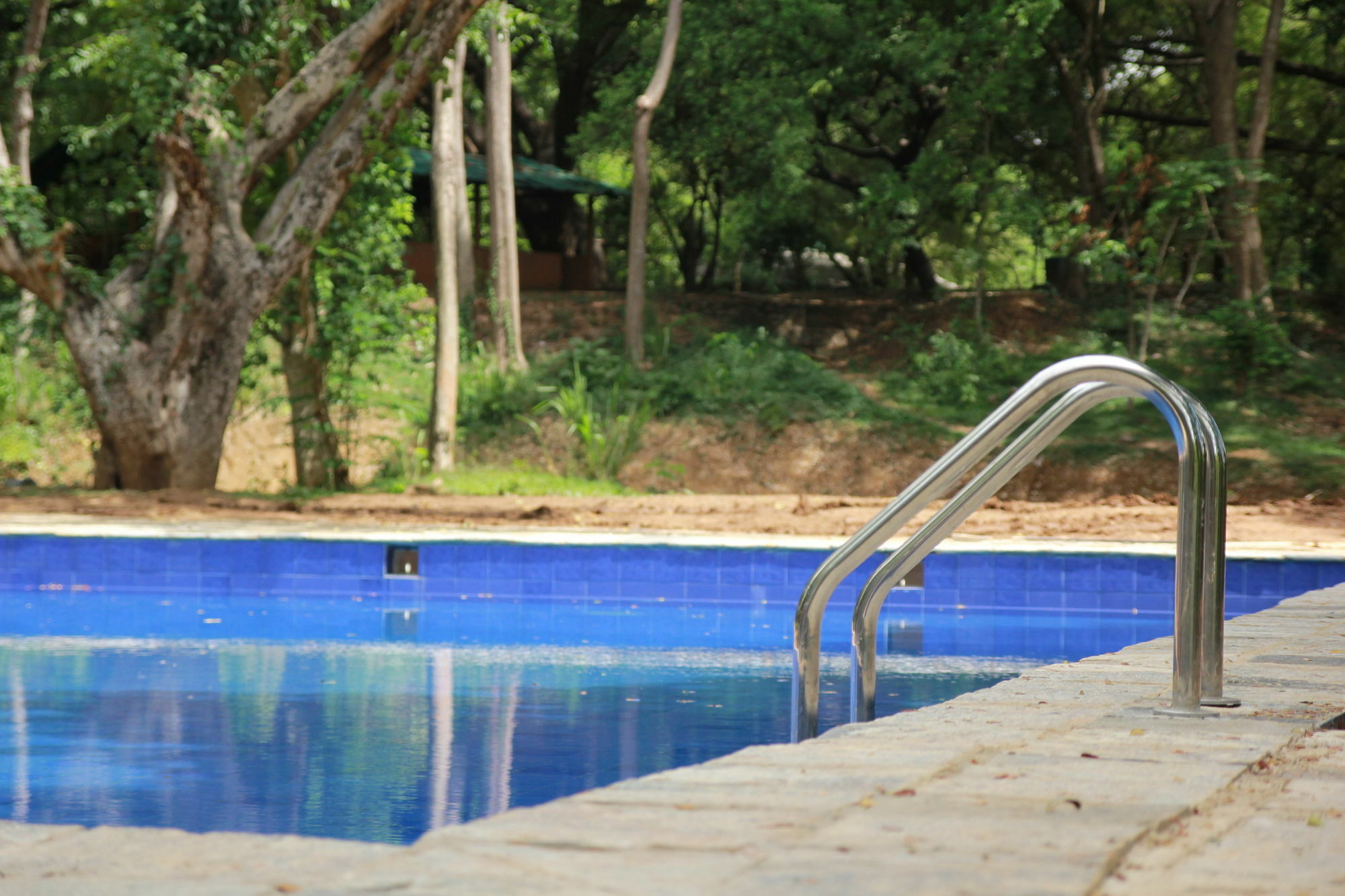 Dambulu Oya Family Park Ξενοδοχείο Dambulla Εξωτερικό φωτογραφία