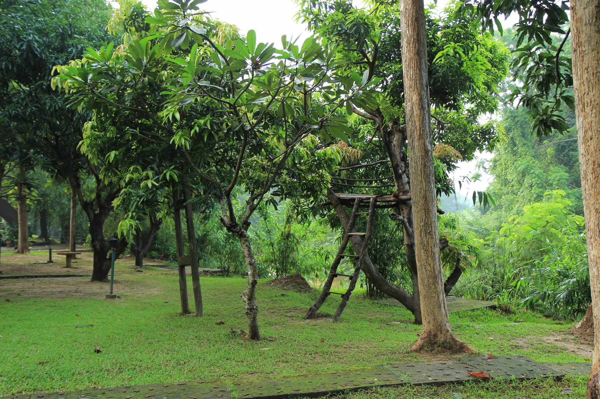 Dambulu Oya Family Park Ξενοδοχείο Dambulla Εξωτερικό φωτογραφία